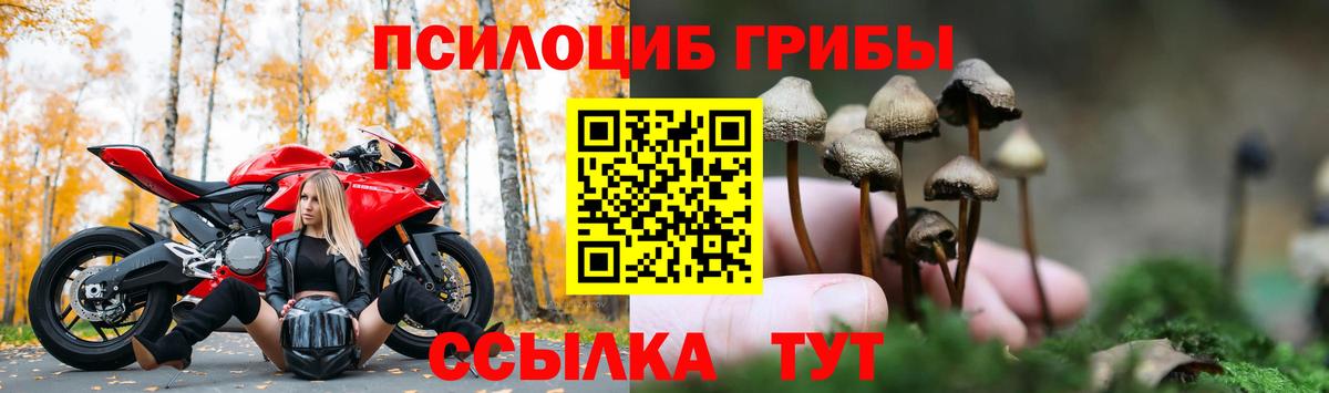 Псилоцибиновые грибы мухоморы Сунжа